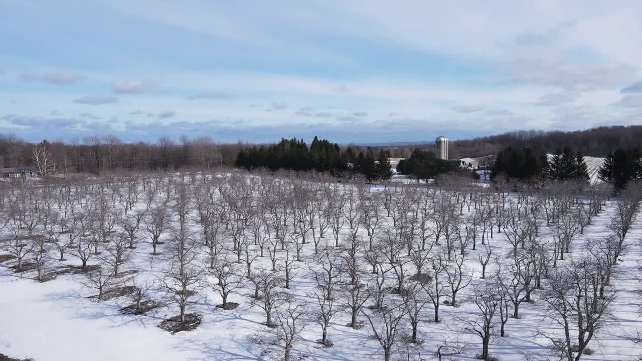 Cherry orchard near Traverse City Michigan in the winter time