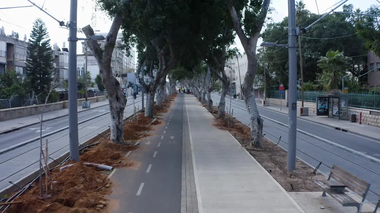 Tree-lined bike path in the middle of the street in Tel Aviv