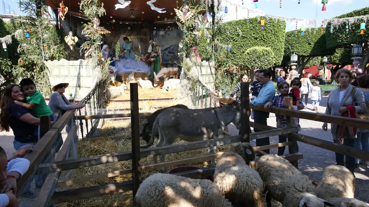 Mexico San Miguel Manger Scene In Shade