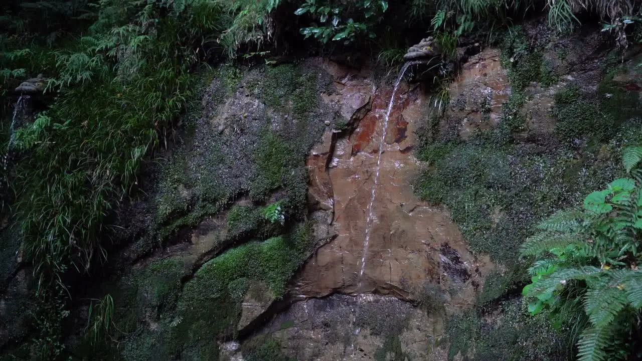 Slow tilt up over dragon fountain waterfall coming from stone wall