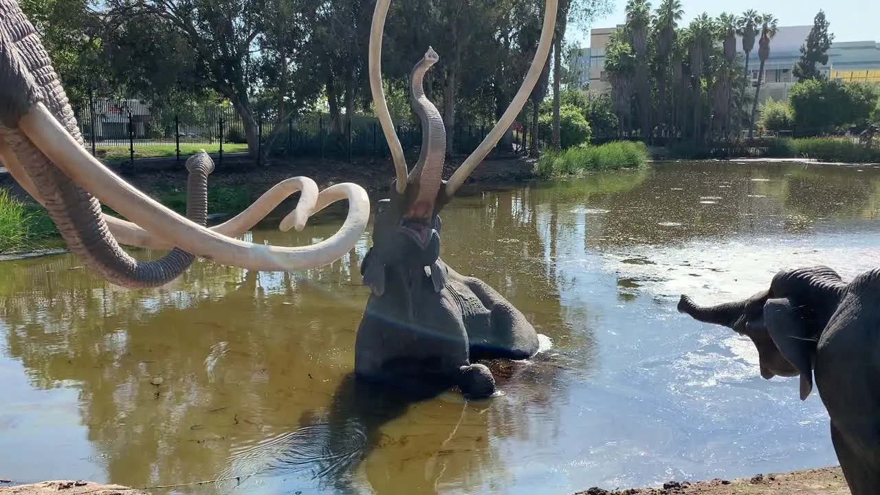 Dating back tens of thousands of years ago this lake pond continues to bubble up with natural asphalt that seep up from the ground and preserves the bones of trapped animals