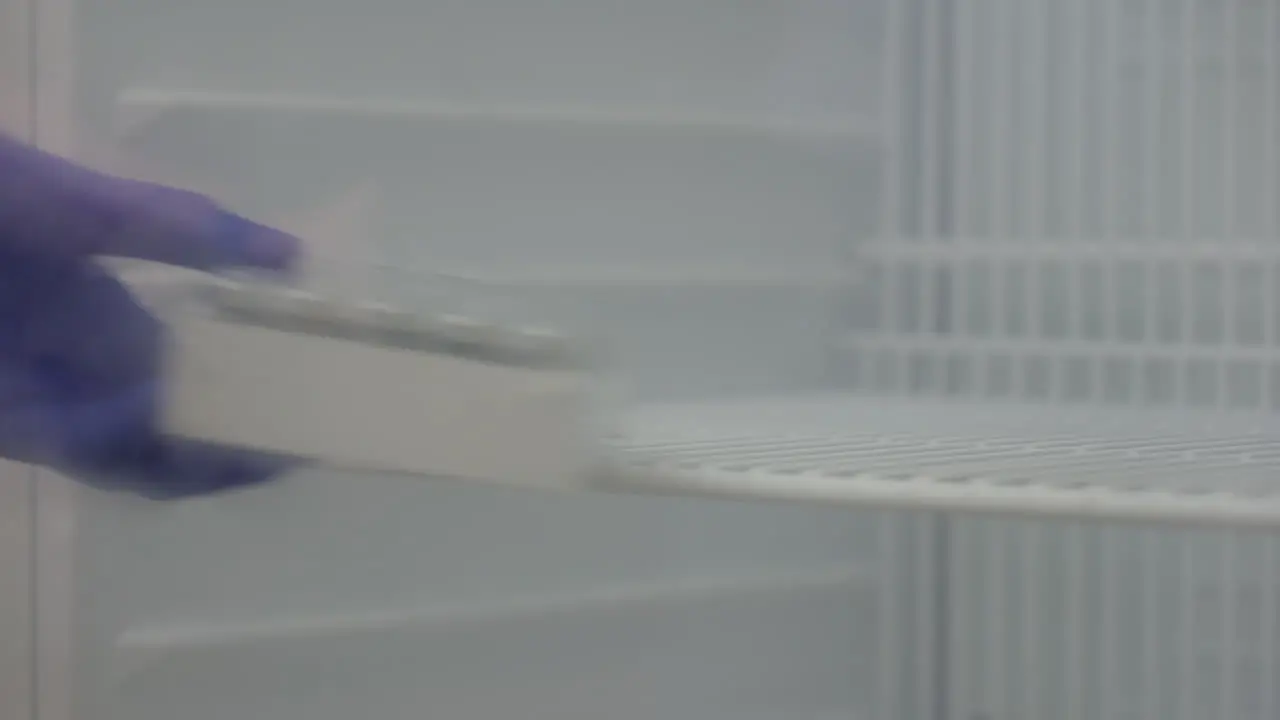 Close Up Of Scientist In Blue Gloves Placing Vials With Laboratory Samples Onto Fridge Shelf For Storage 4K