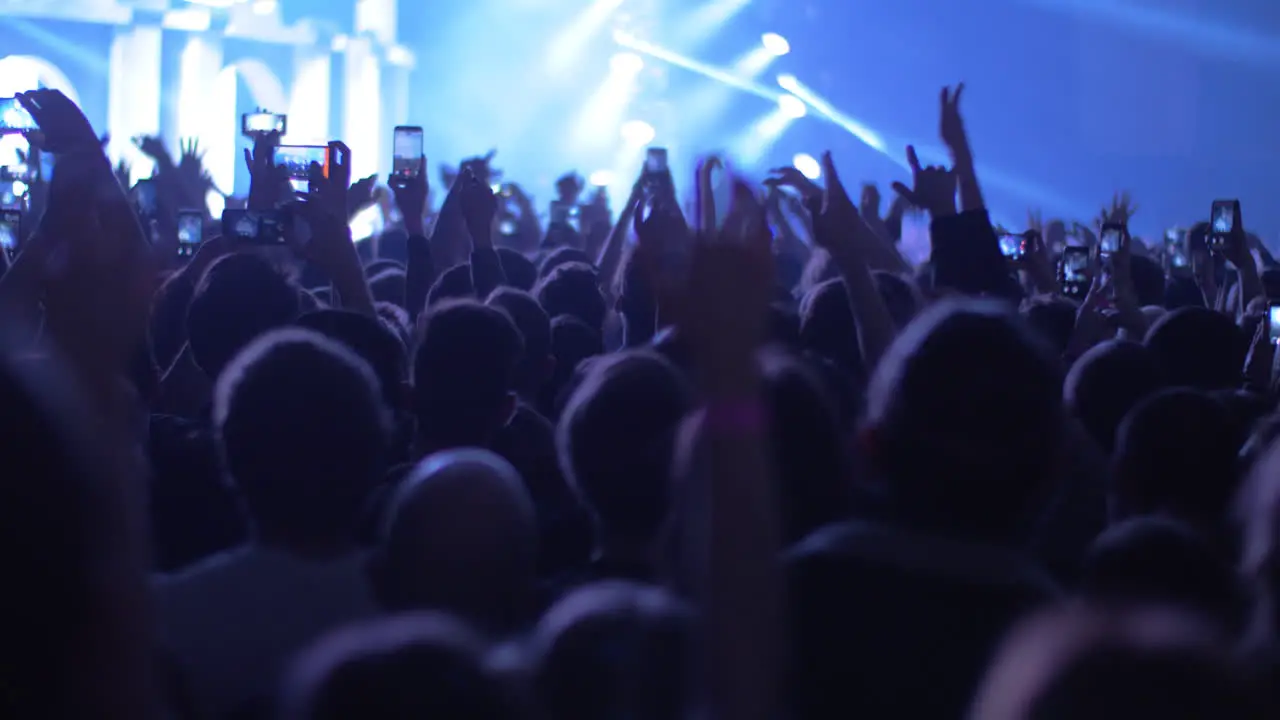 Crowd of dancing music fans at the concert