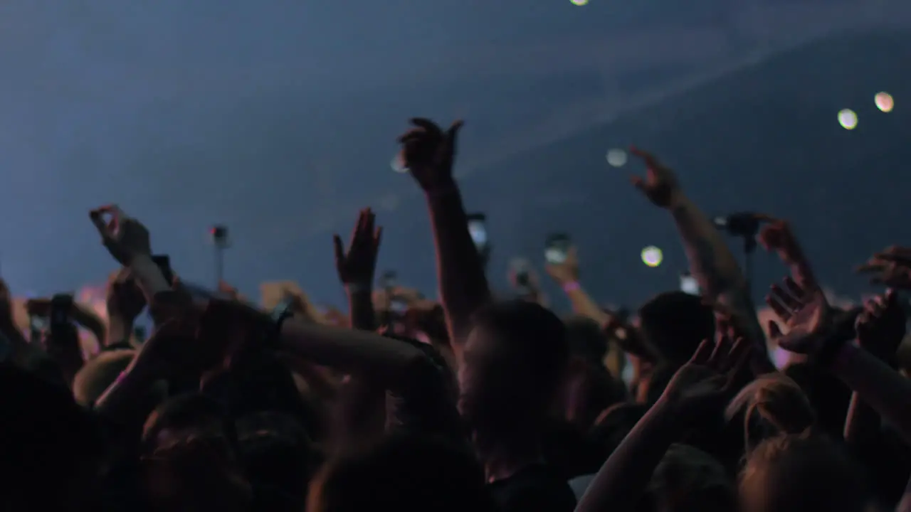 Excited fans dancing at the concert