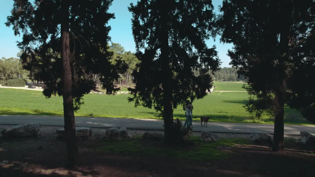 Mother father little girl and vizsla dog walking in a park near an open field on a sunny winter day the father carries the girl Dramatic drone movement behind the trees sliding to the right