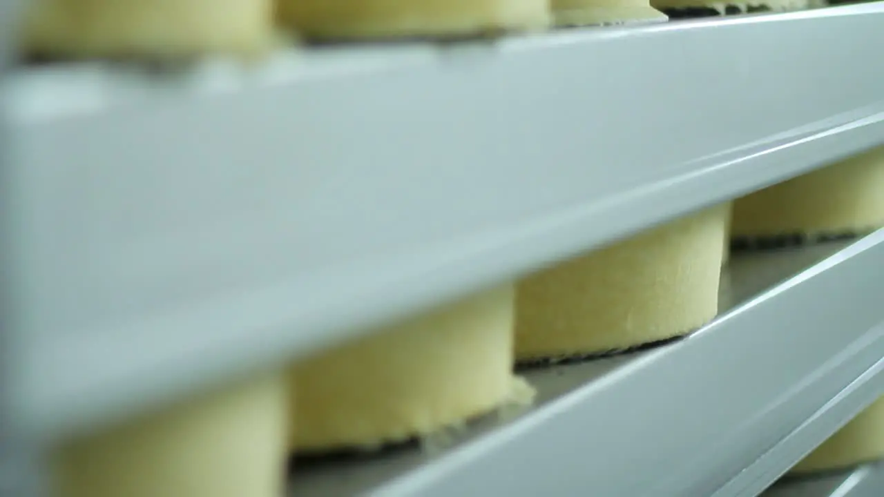 Cheese wheels stored on warehouse shelves of factory Food production