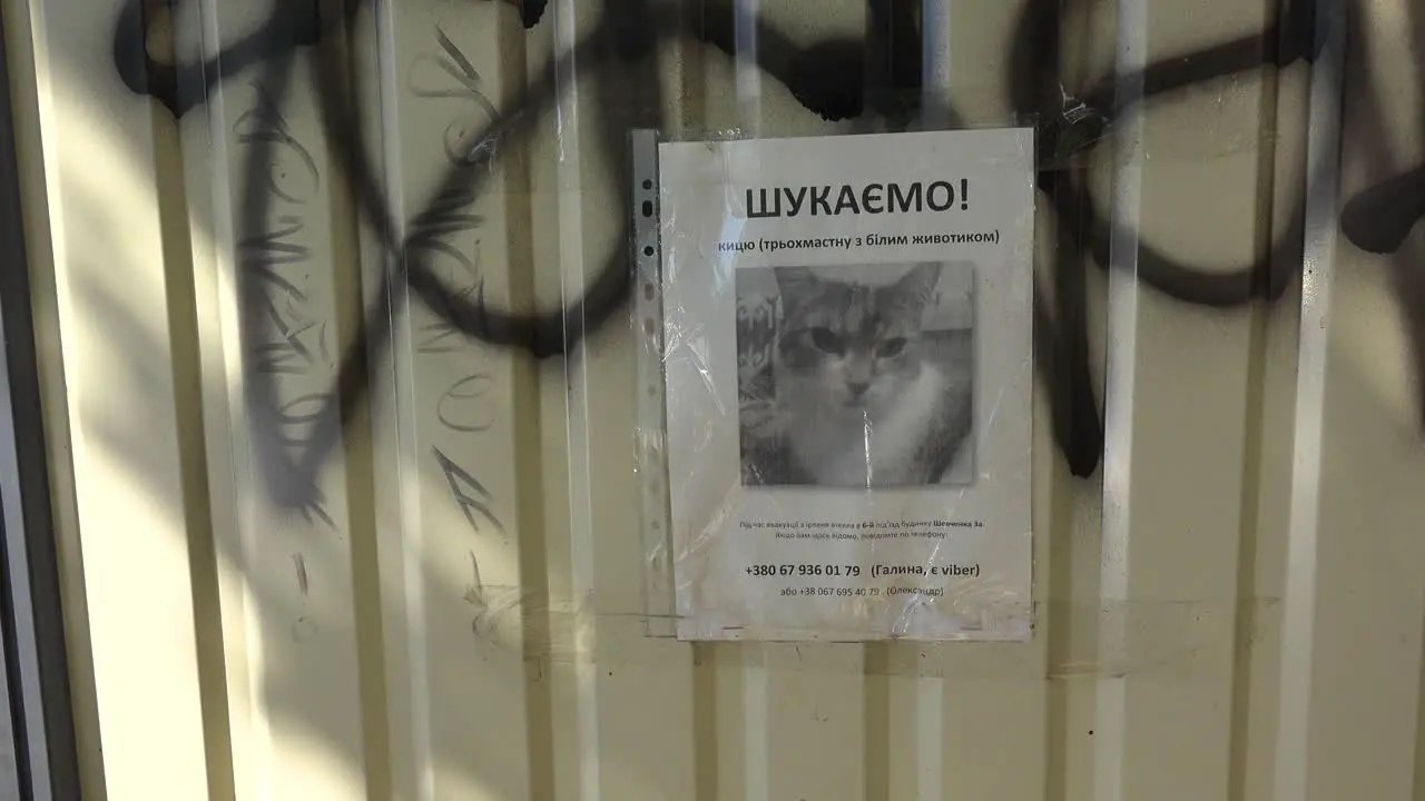 A Poster For A Missing Lost Cat Amidst The Destruction Of Irpin Ukraine Following The Russian Occupation