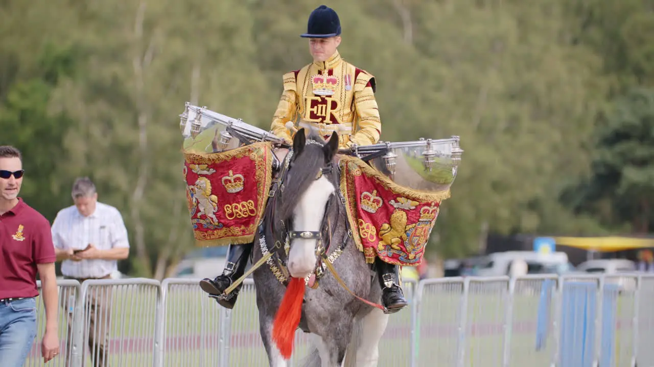 Household Cvalary drum horse is ridden by a soldier in a gold coat to a parade