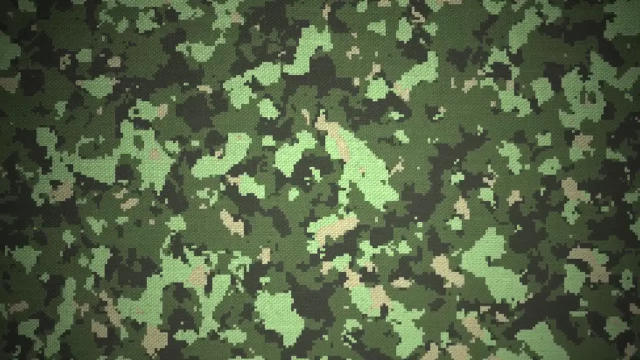 Green camouflage background