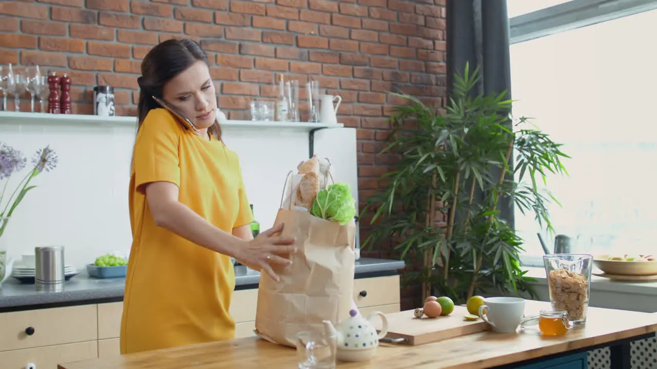 Woman bringing grocery bags in kitchen Brunette ending phone call at home