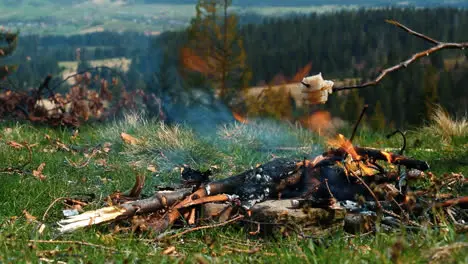 Cooking food on camping fireplace Pieces of pork lard grilling on bonfire