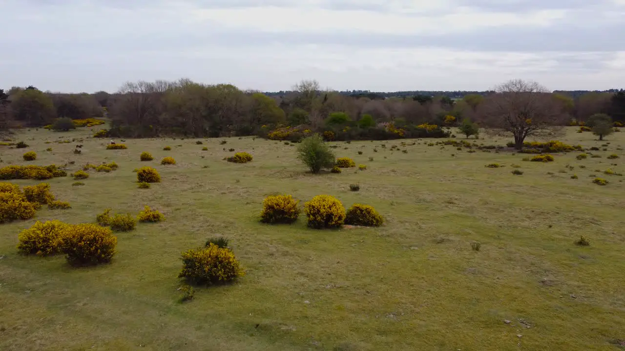 Aerial shot of dried field in the town of Thetford norfolk