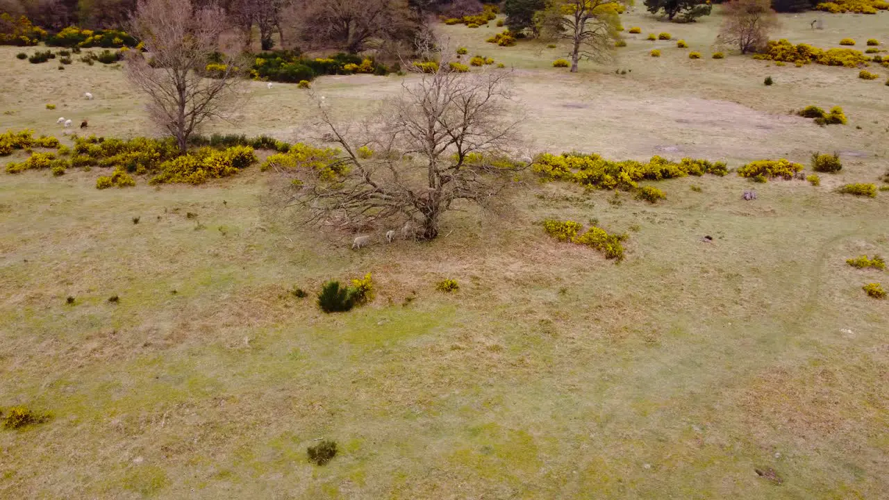 Aerial shot of rotating of thetfolk field