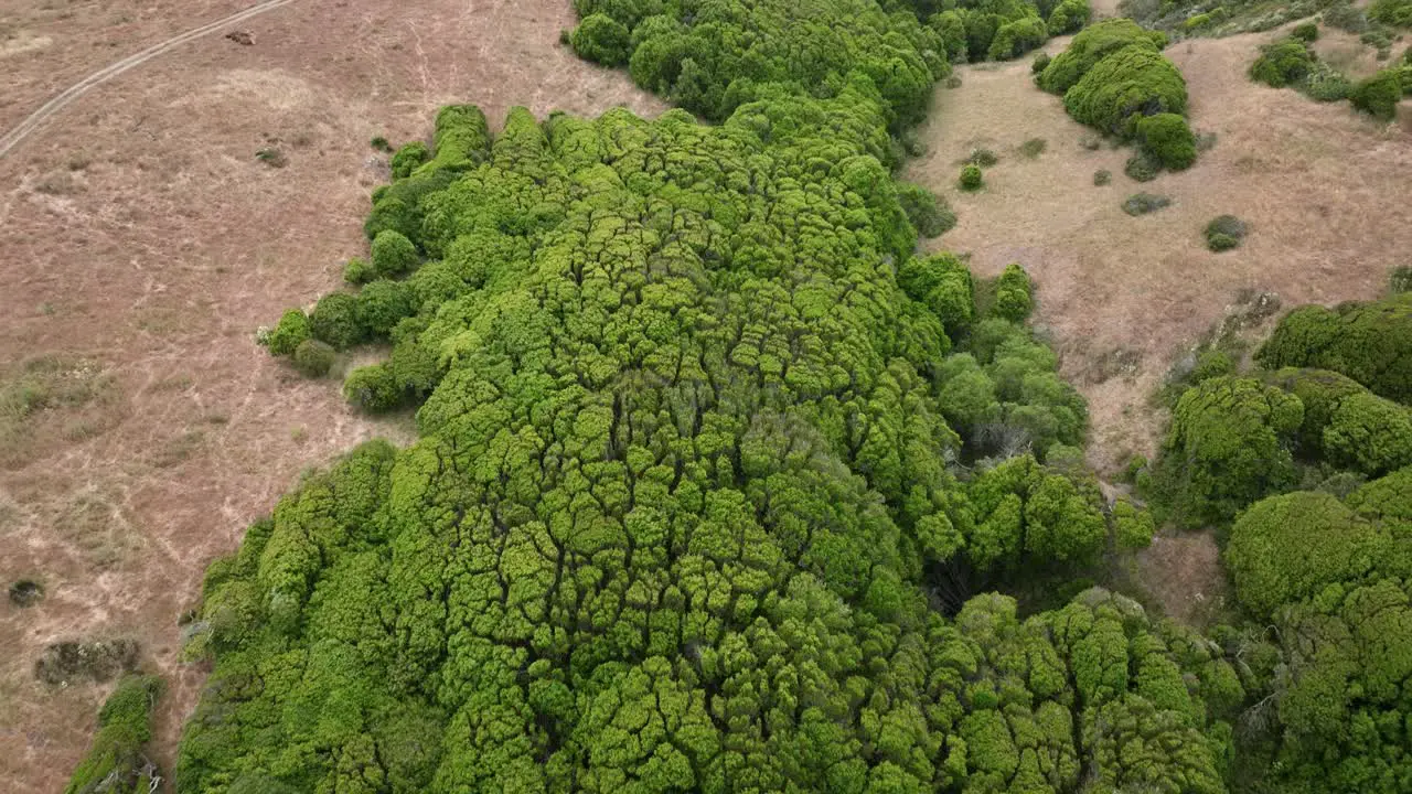 Drone Rising Slowly From Green Valley High Mountains Revealing Beautiful Scene San Franciso