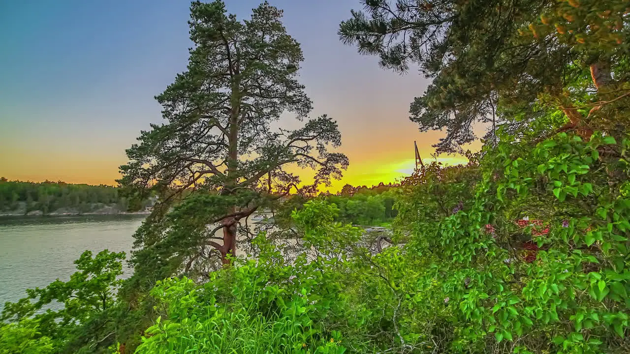 Static shot of sun setting in timelapse over clear blue sky over beautiful lake surrounded by dense vegetation during evening time