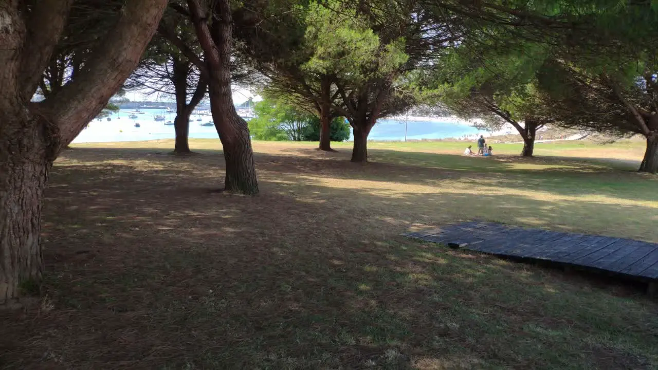 People resting and interacting under the trees with the beach and boats in the background on a sunny summer day