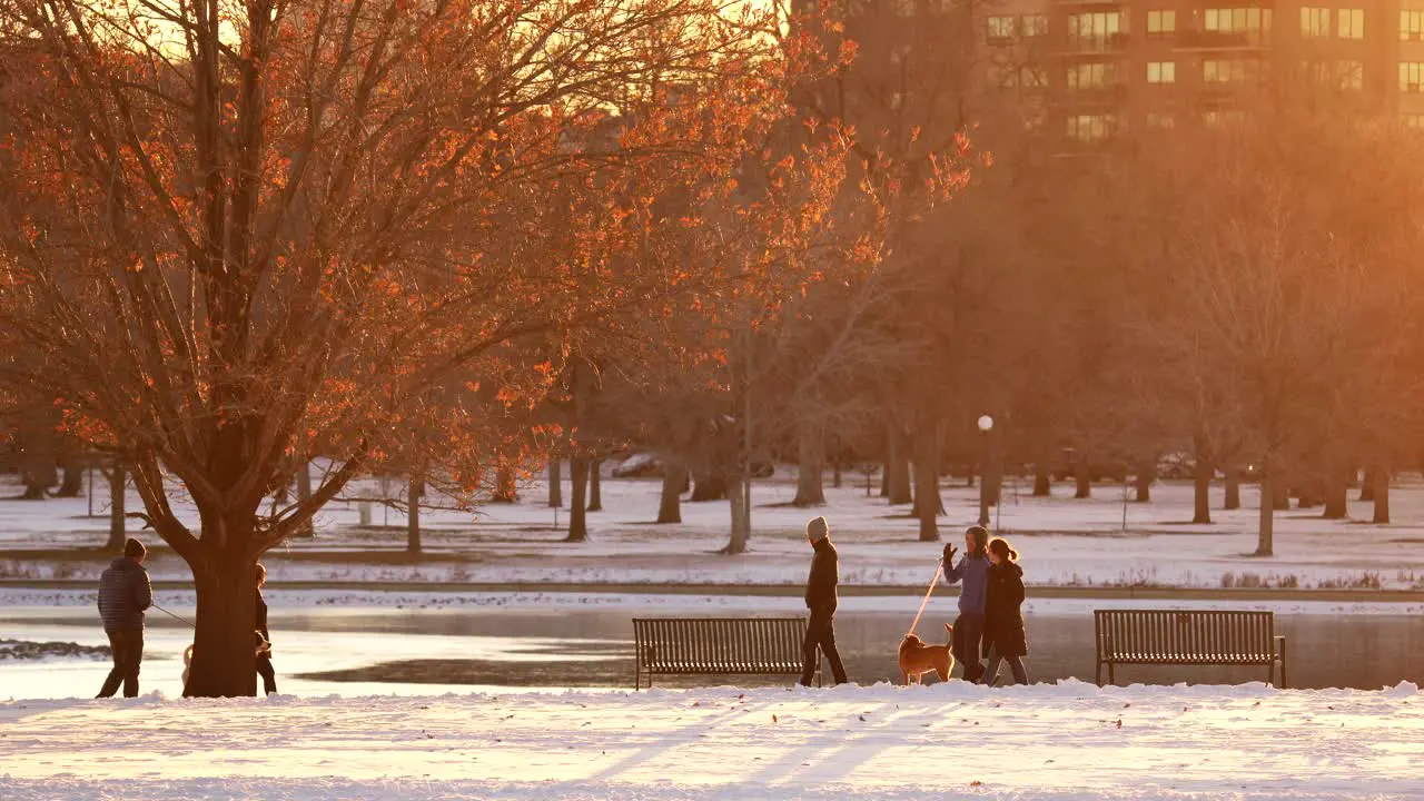 People walking dog in the park against a background of warm light