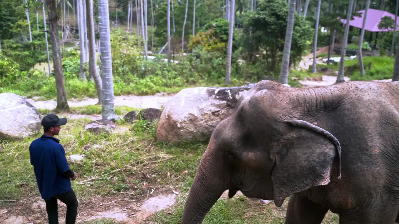 Watching elephant sanctuary keepers taking care of elephant in exhibit