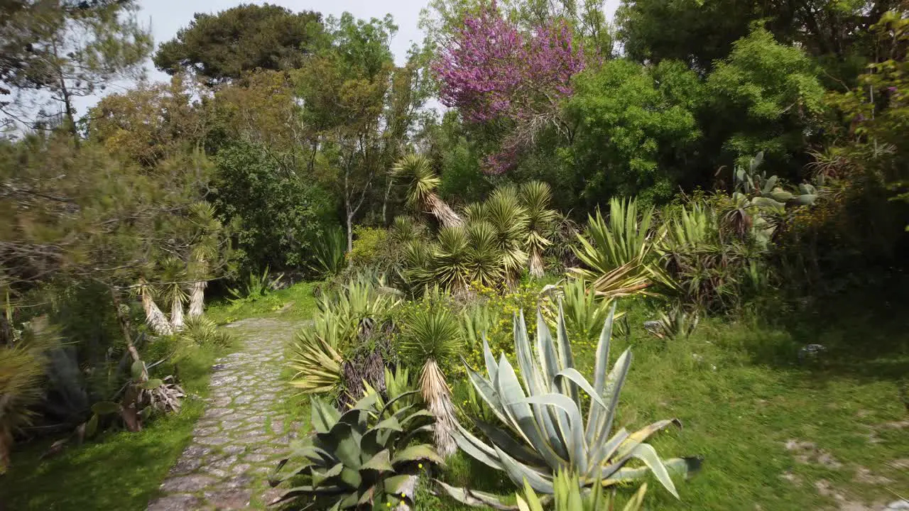 Aerial Forward Flying Over Beautiful Cactus Garden In Historical Park Garden In Downtown Lisbon Portugal