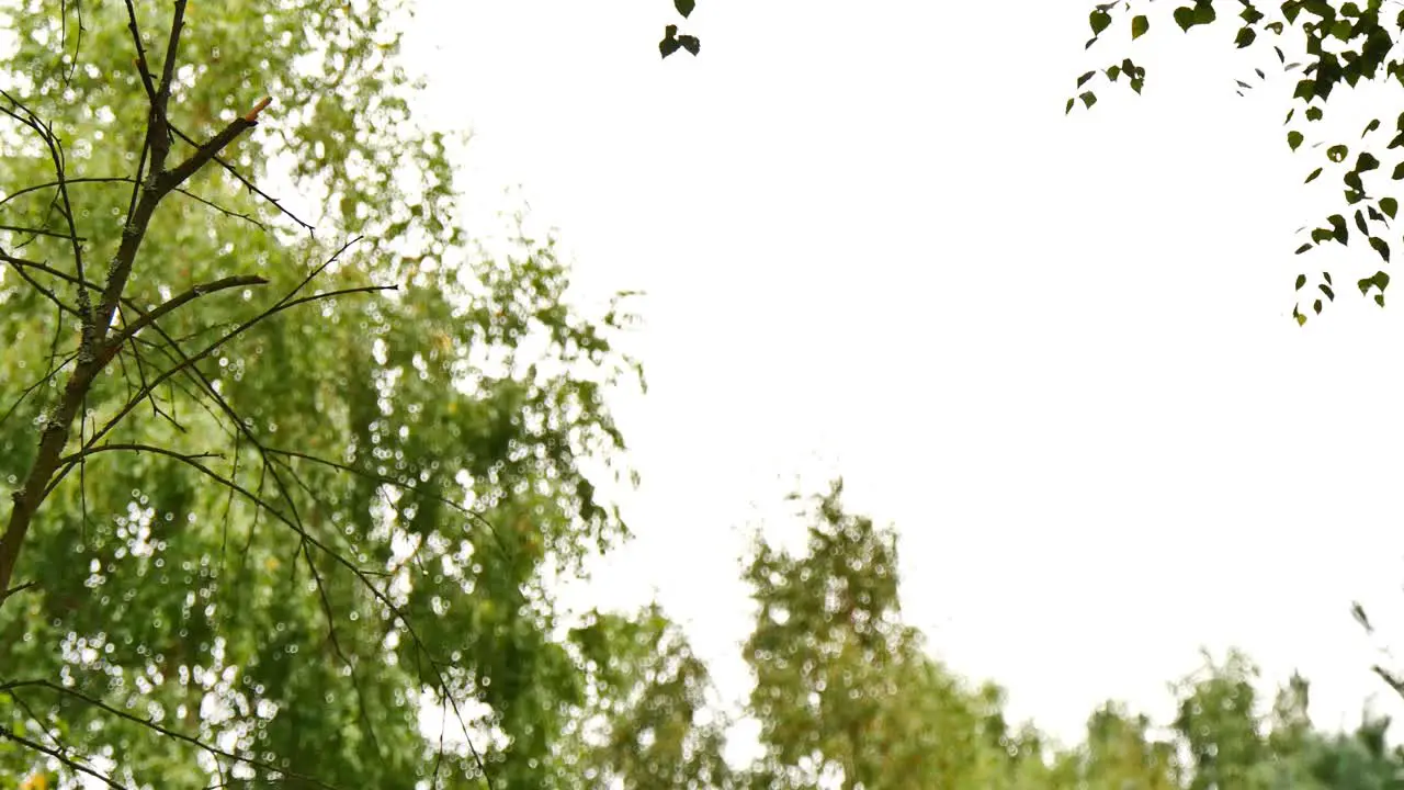 Footage of a mother lying in a hammock in the countryside whilst on a tablet computer