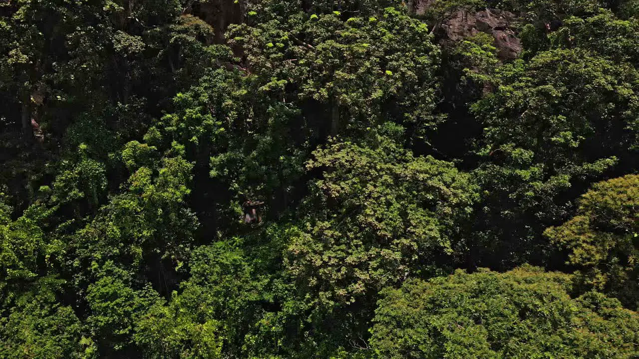 Drone side tracking shot of lush tropical jungle on a Island in Thailand