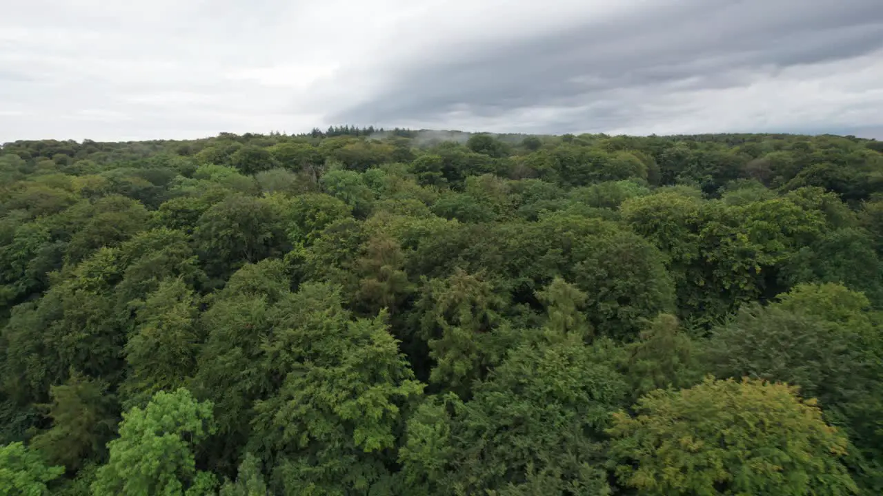 Beautiful Beach Aerial View of Coast and Forest Near Marselisborg Palace in Aarhus Denmark