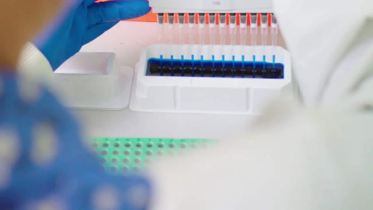 Close Up Of Gloved Scientist Aspirating Blue Lab Sample With Multichannel Pipette In Medical Research Laboratory 4K