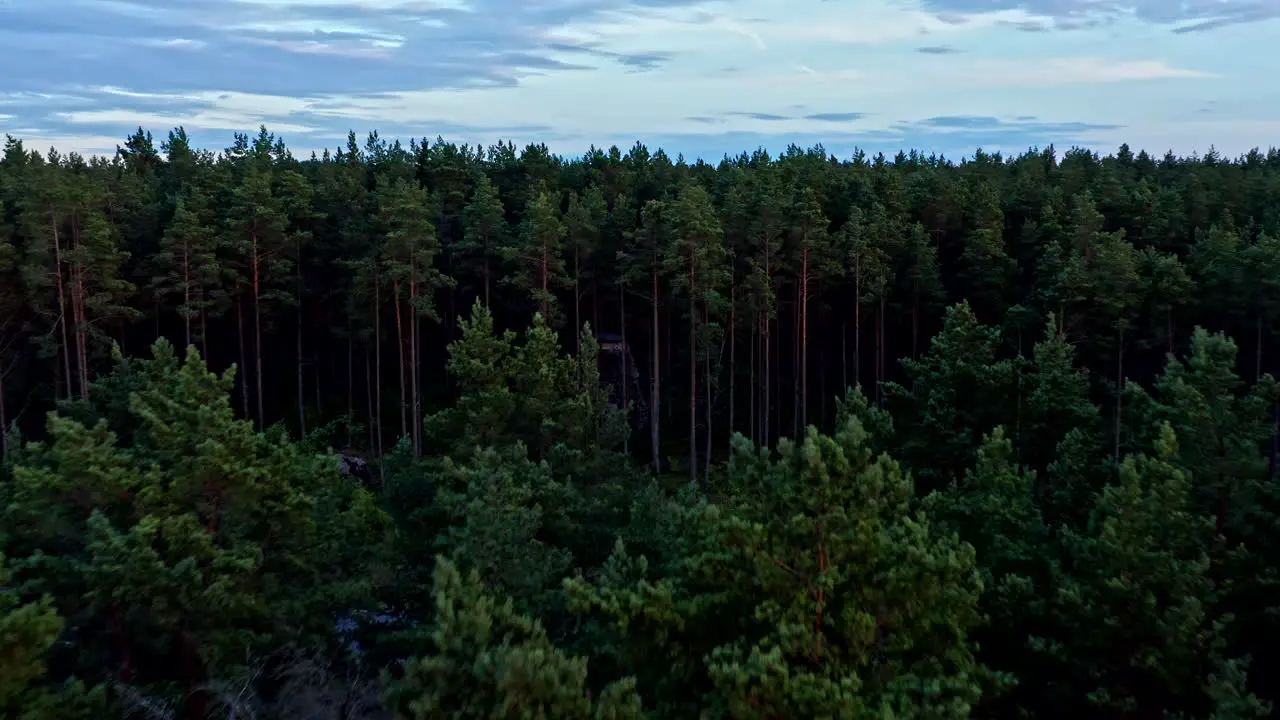 Flying close to the canopies of trees approaching an abandoned mill