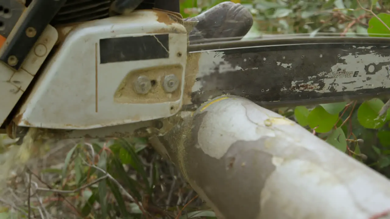 Lumberjack with chainsaw cutting tree trunk 4k