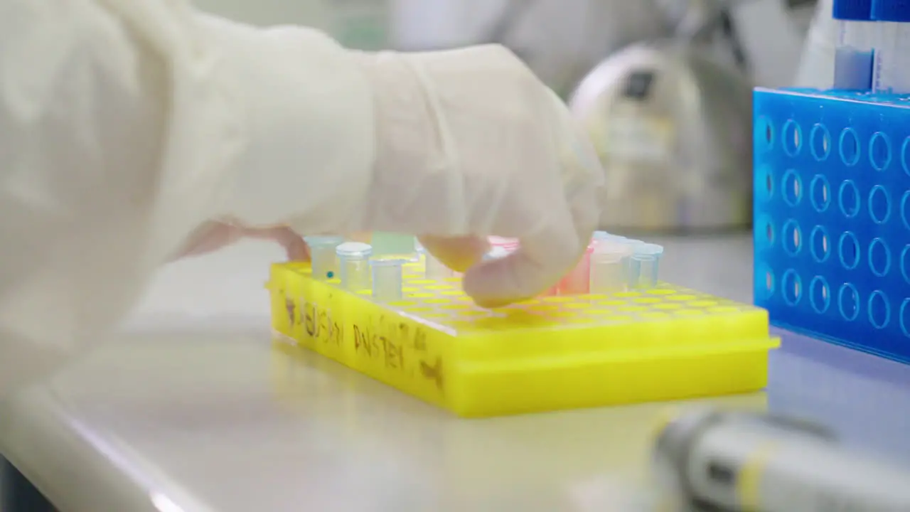 Medical Research Scientist Placing Eppendorf Tubes With Samples Into Freezer Rack On Laboratory Bench 4K