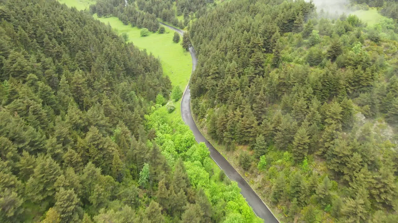 Aerial Drone View Of A Winding Mountain Road Among Pine Trees Located In The Pyrenees