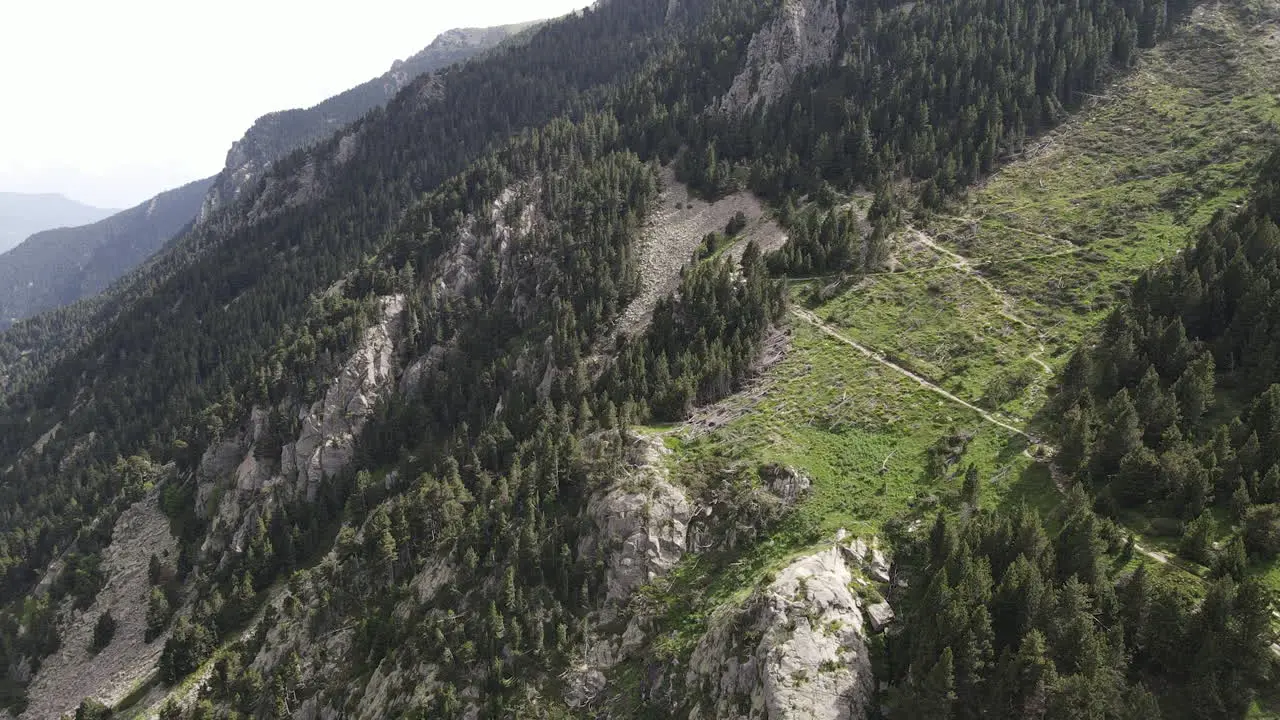 Aerial Shot Of A Drone Flying Backwards Showing The Pine Forest On The Steep Mountain Of The Pyrenees