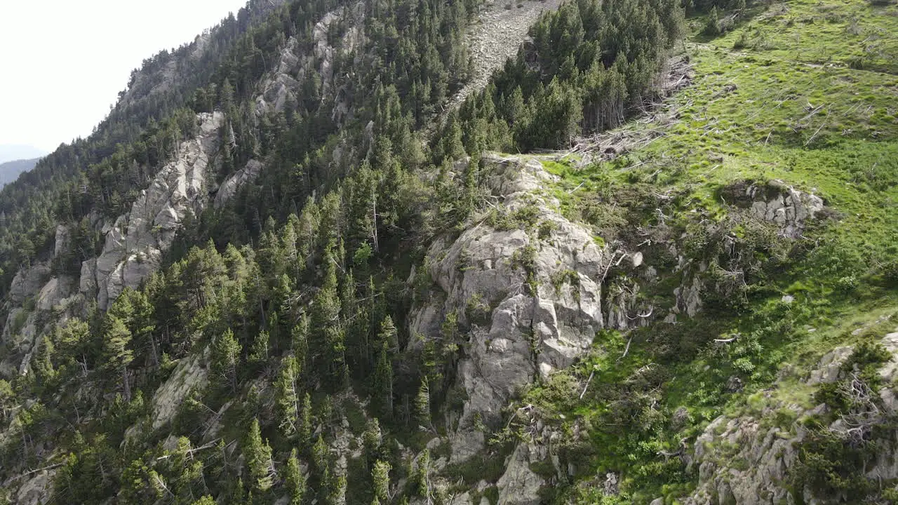 Aerial Shot Of A Drone Flying Over A Steep Mountain Full Of All Kinds Of Pine Trees In The Pyrenees