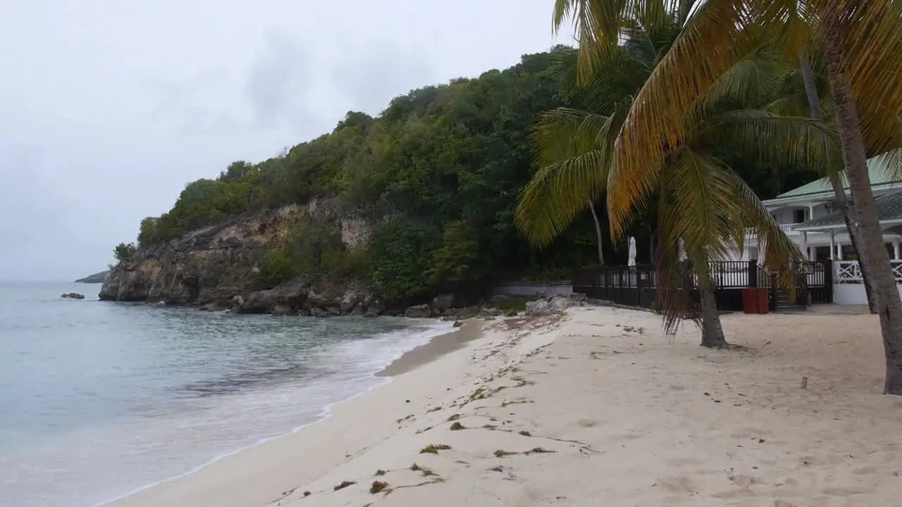 Caribbean Beach and Wooded Hillside