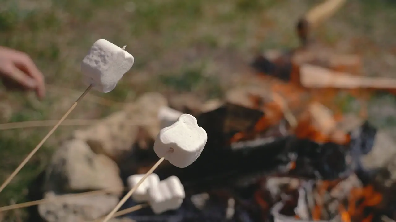 A Group Of Young People Warm Marshmallows On A Bonfire 4