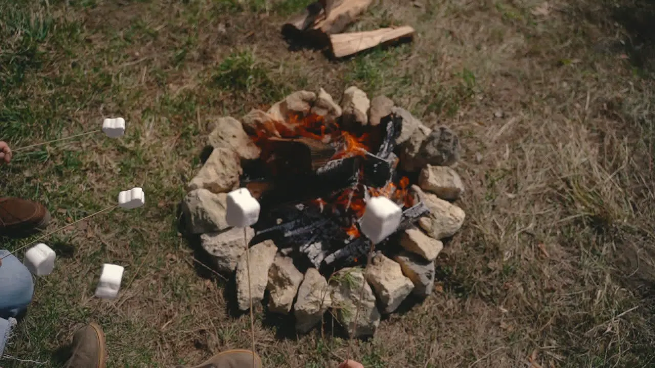 A Group Of Young People Warm Marshmallows On A Bonfire 3