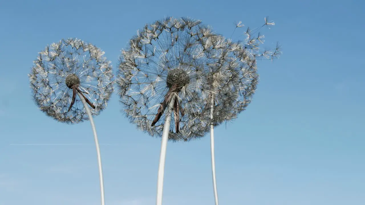 Bright scenic footage taken around the Trentham Gardens Estate UK