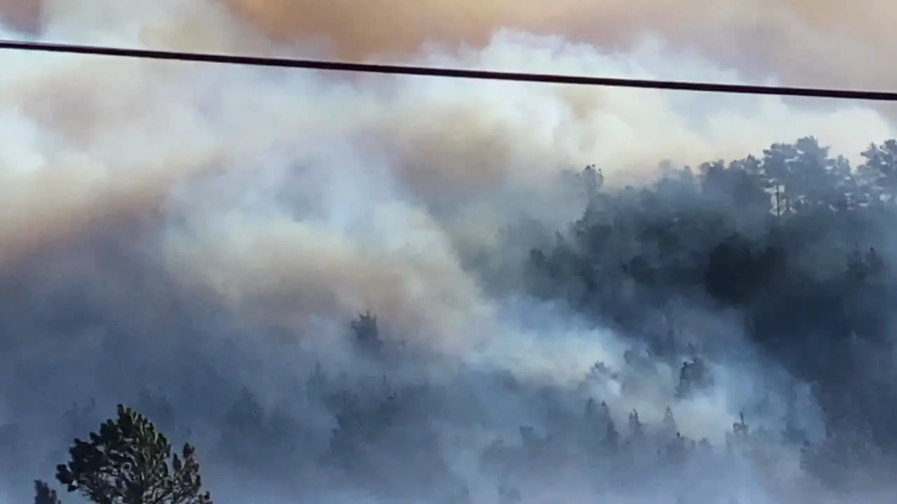 Dark Wildfire Smoke Above Forest Burning Trees From Marshall Fire Boulder City Area Colorado USA