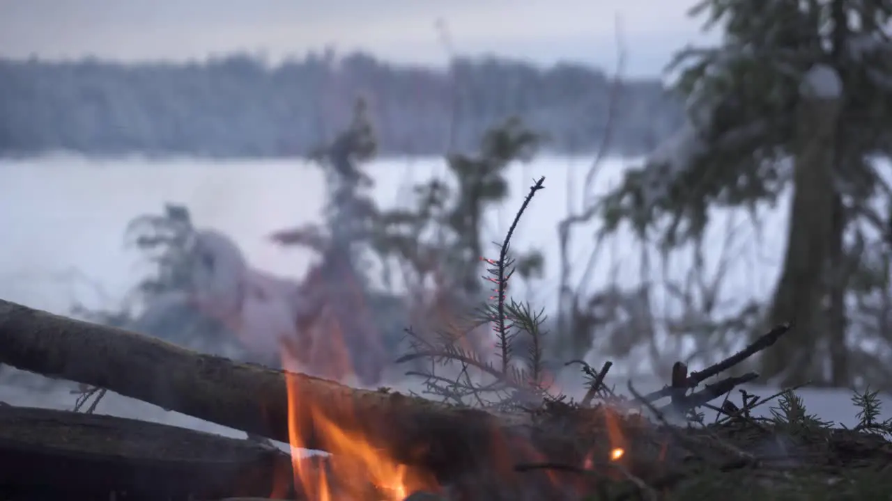 Fiery Flames Of A Burning Woods In A Winter Campfire