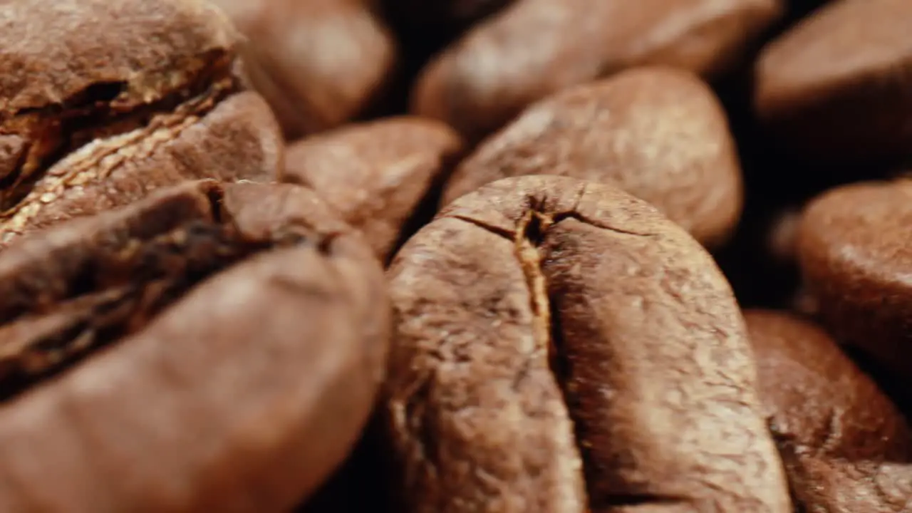 Coffee beans close-up