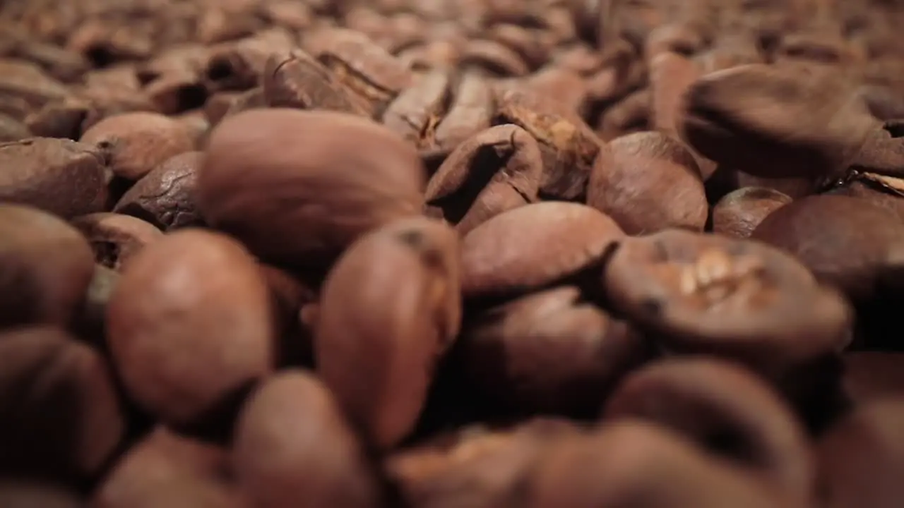 Сoffee beans are falling close-up