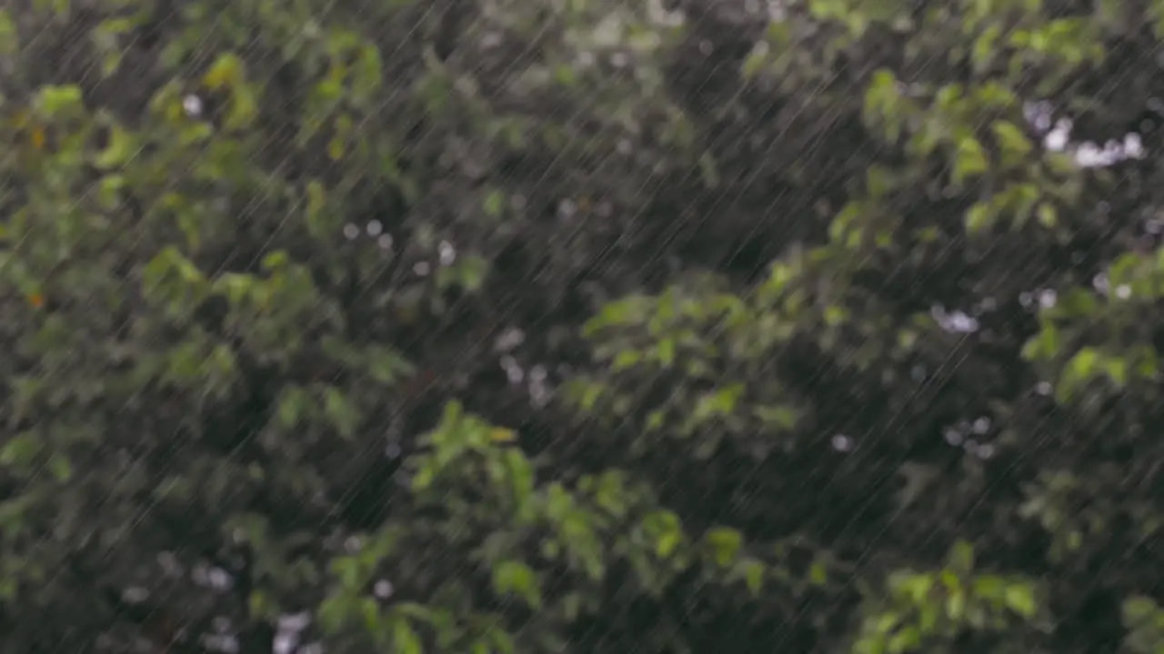 Morning heavy rain falling on a blurred garden in the background