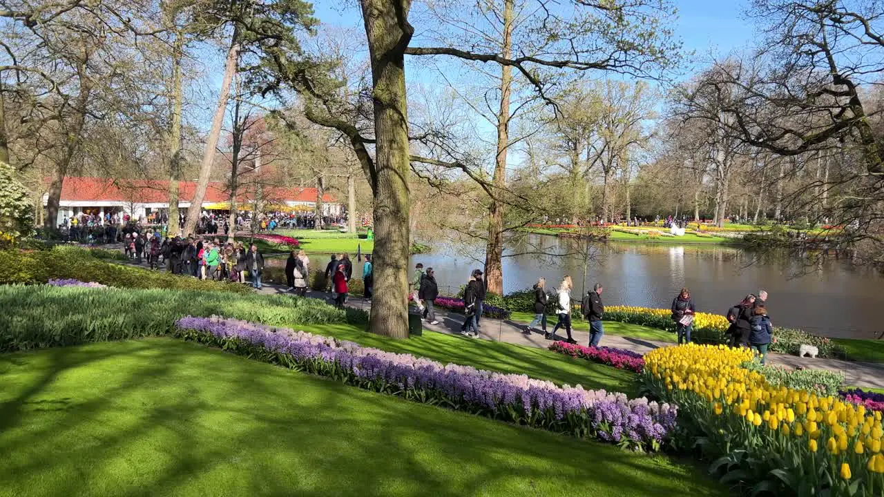 Panning shot of visitors walking around the lake in Keukenhof Park