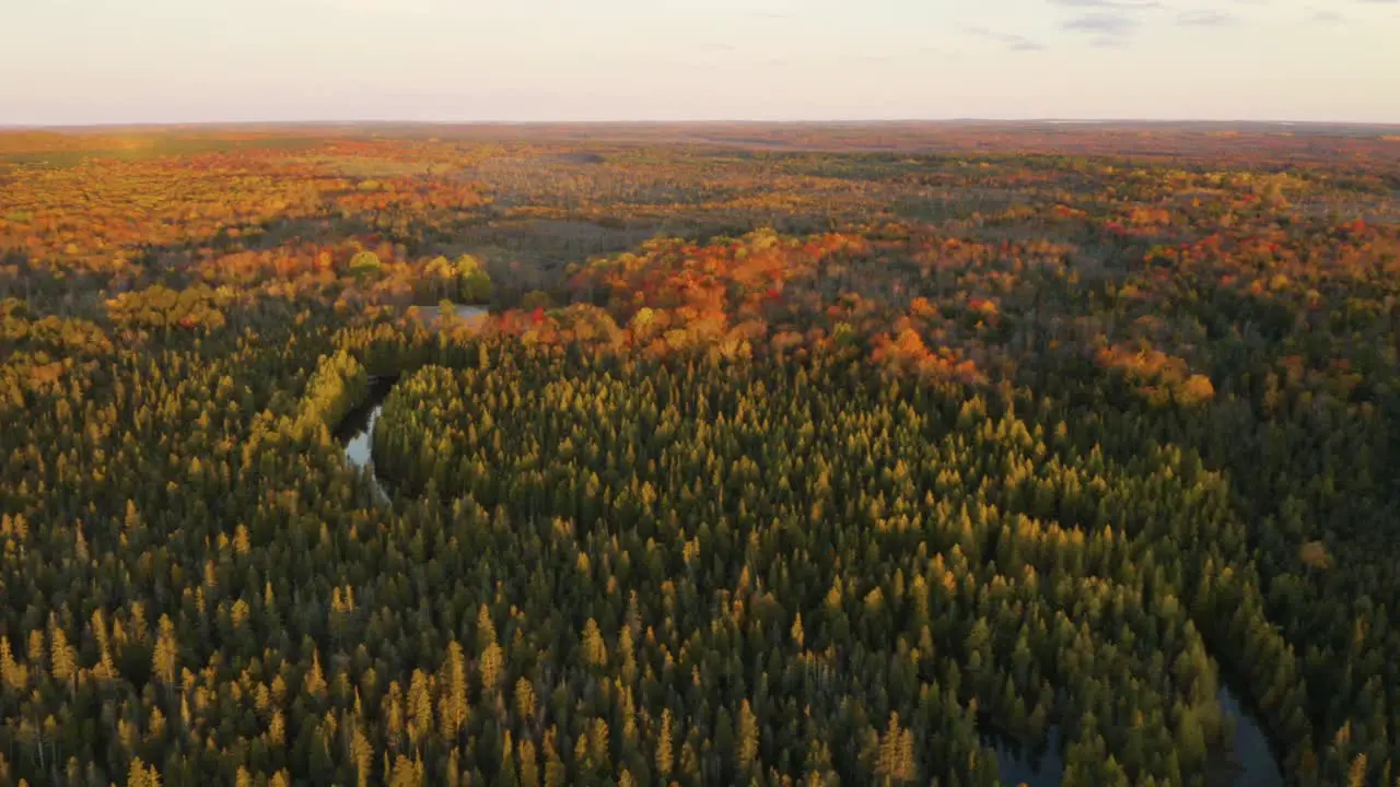 Aerial Kitch-iti-kipi freshwater spring in Michigan wilderness in fall