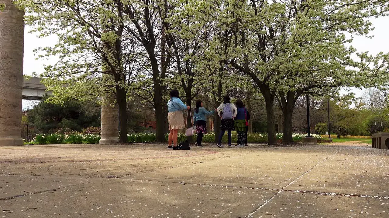 Asian Family Taking Photos In City Park Under Blooming Spring Trees