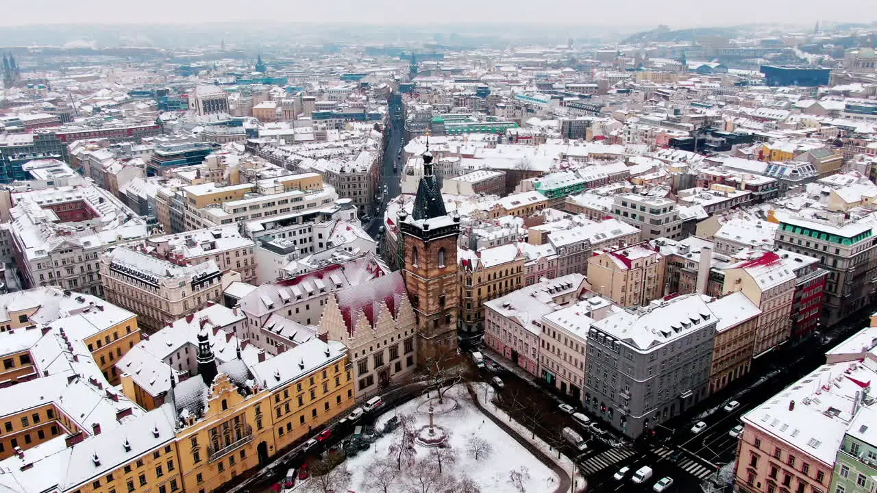 Prague snow fly