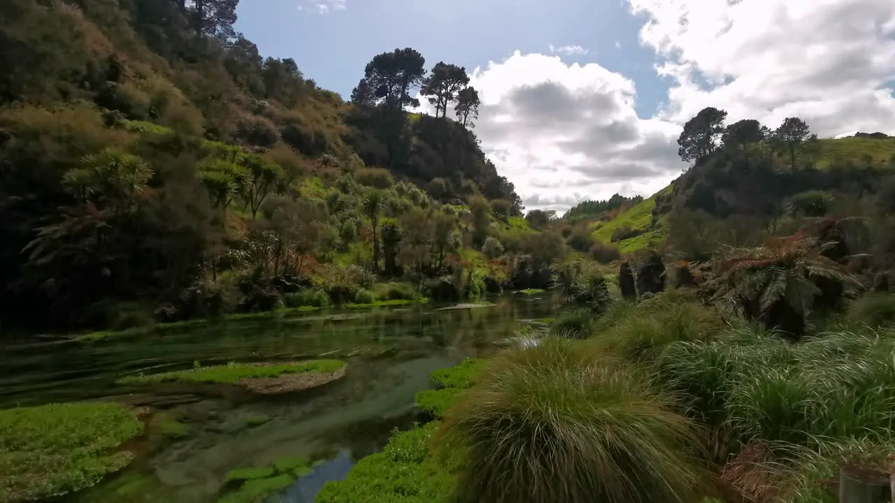 Green lush hills overgrown by typical New Zealand flora and a crystal clear river flowing in between