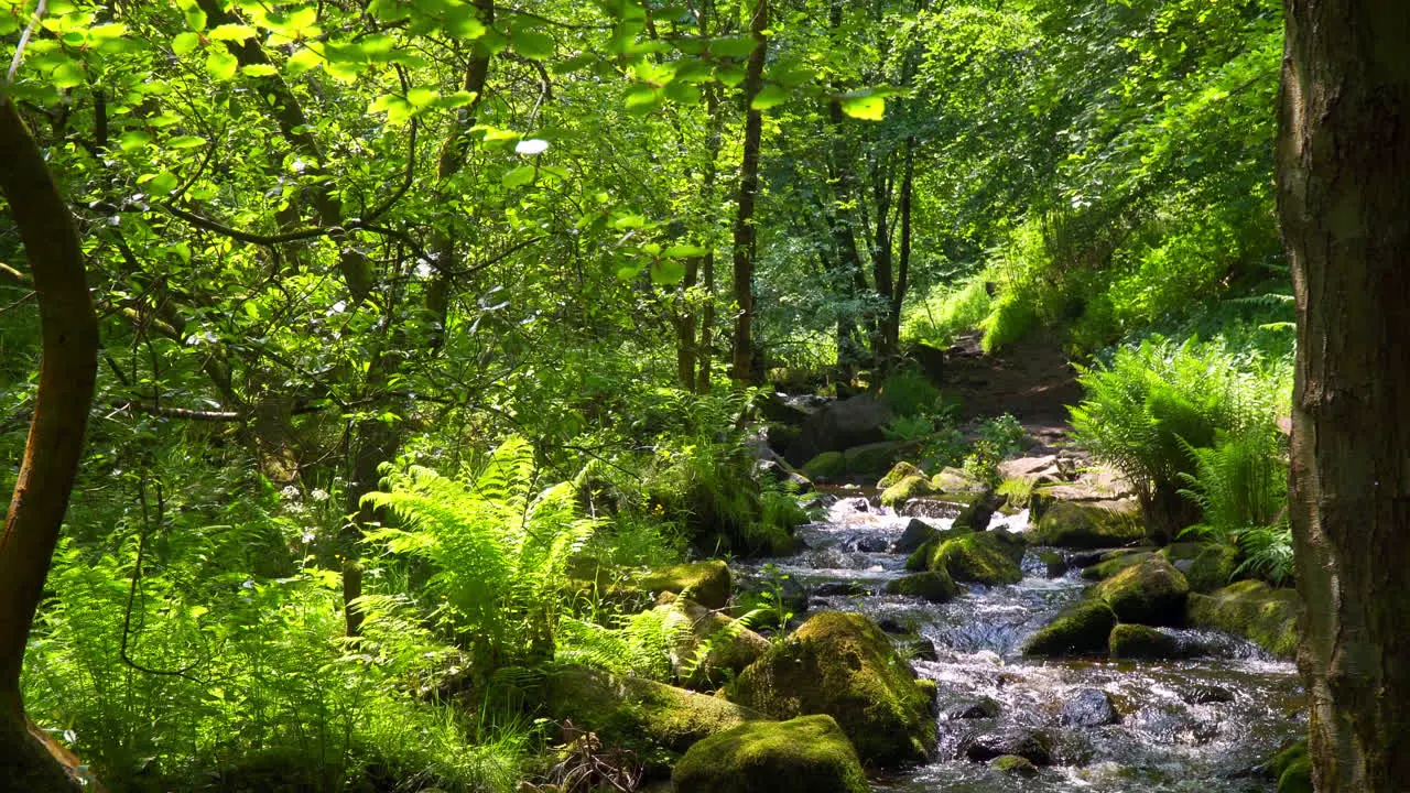 Slow flowing river stream flowing gently over rocky waterfalls