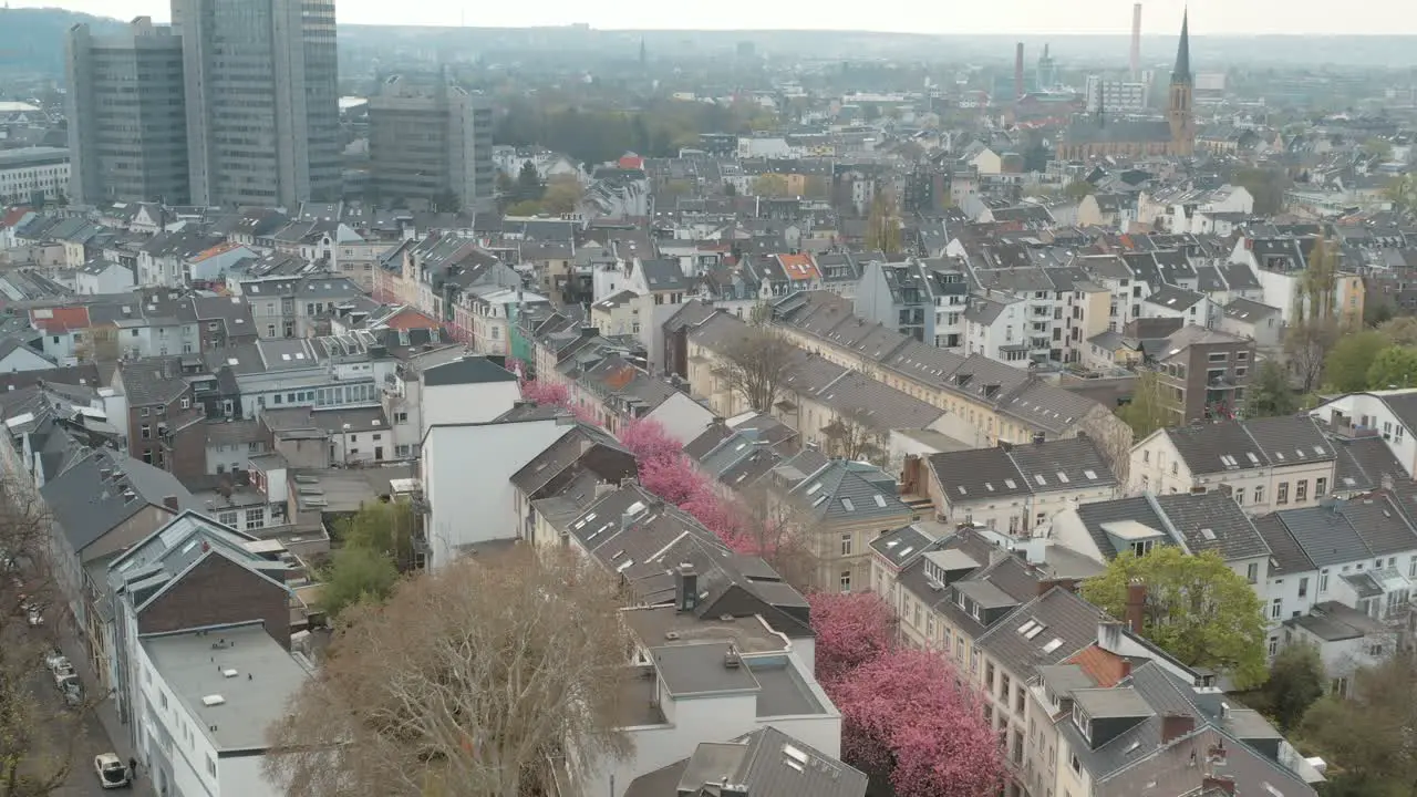 Drone Aerial drone shot of the Kirschbluete Cherry Blossom in the Heerstraße Heerstreet Breitestraße with cityhall Stadthaus Bonn 25p