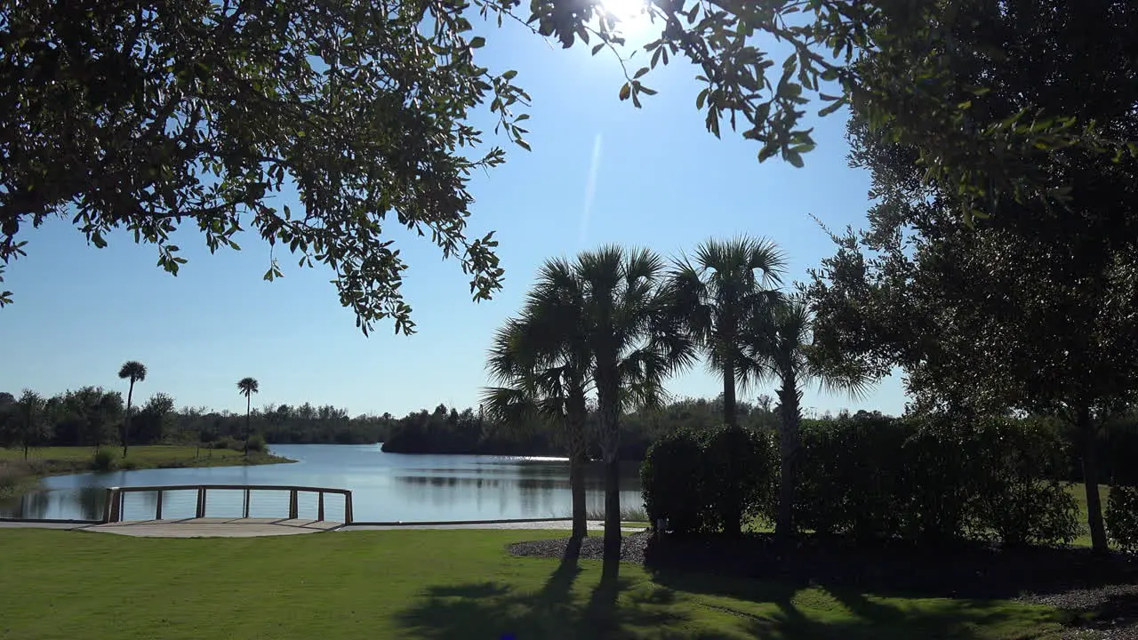 South Carolina Seabrook lake and palms